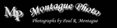 MontaguePhoto.com